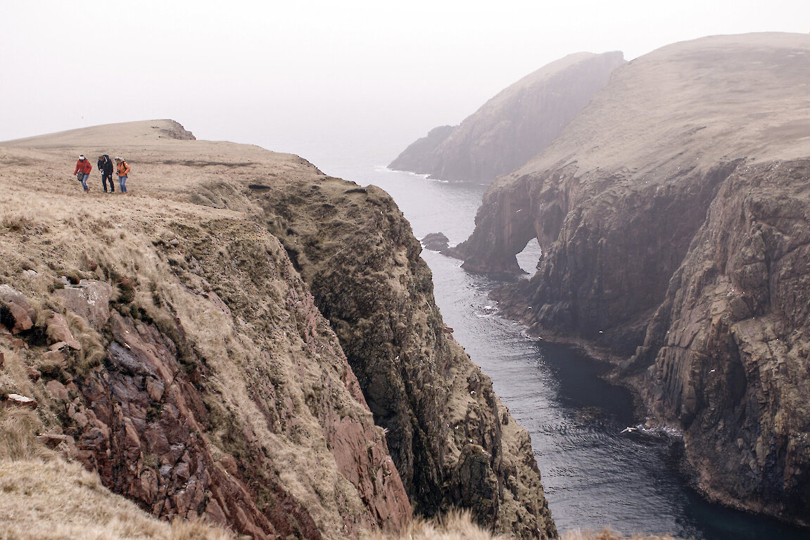 Hiking Shetland's rugged coastline