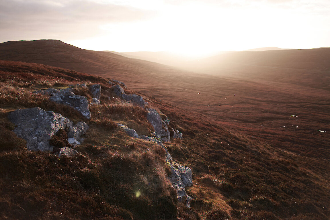 Photo: Alexa Fitzgibbon