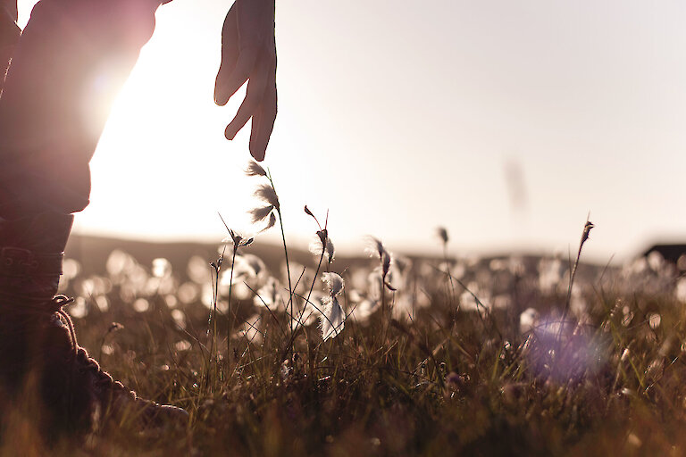 Photo: Alexa Fitzgibbon