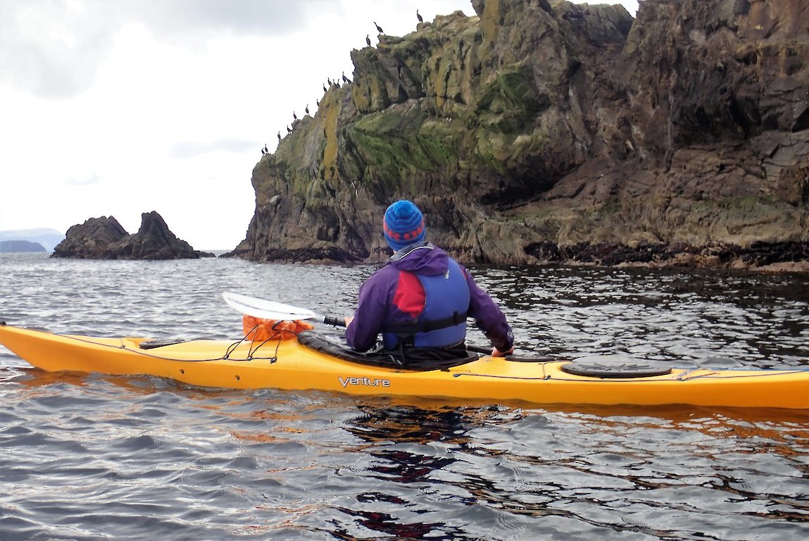 Get close to seabirds