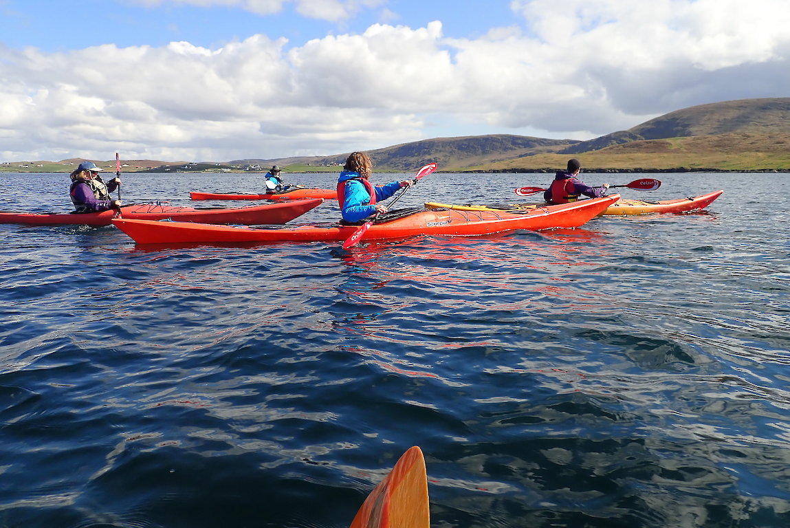 Small group paddle trips