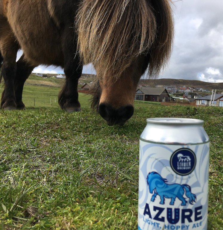 Even the Shetland Ponies love our beer!