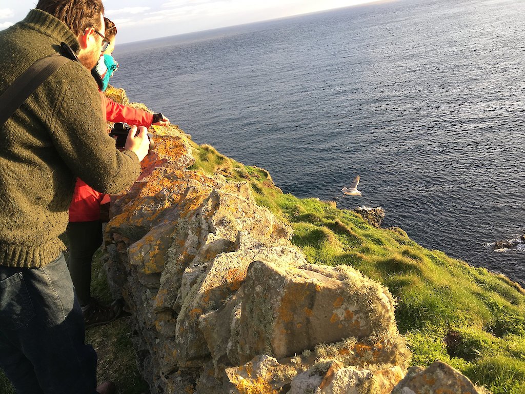Puffin spotting at Sumburgh Head