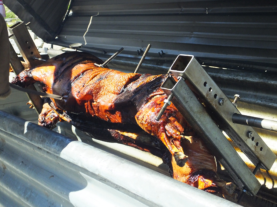hog roast motor