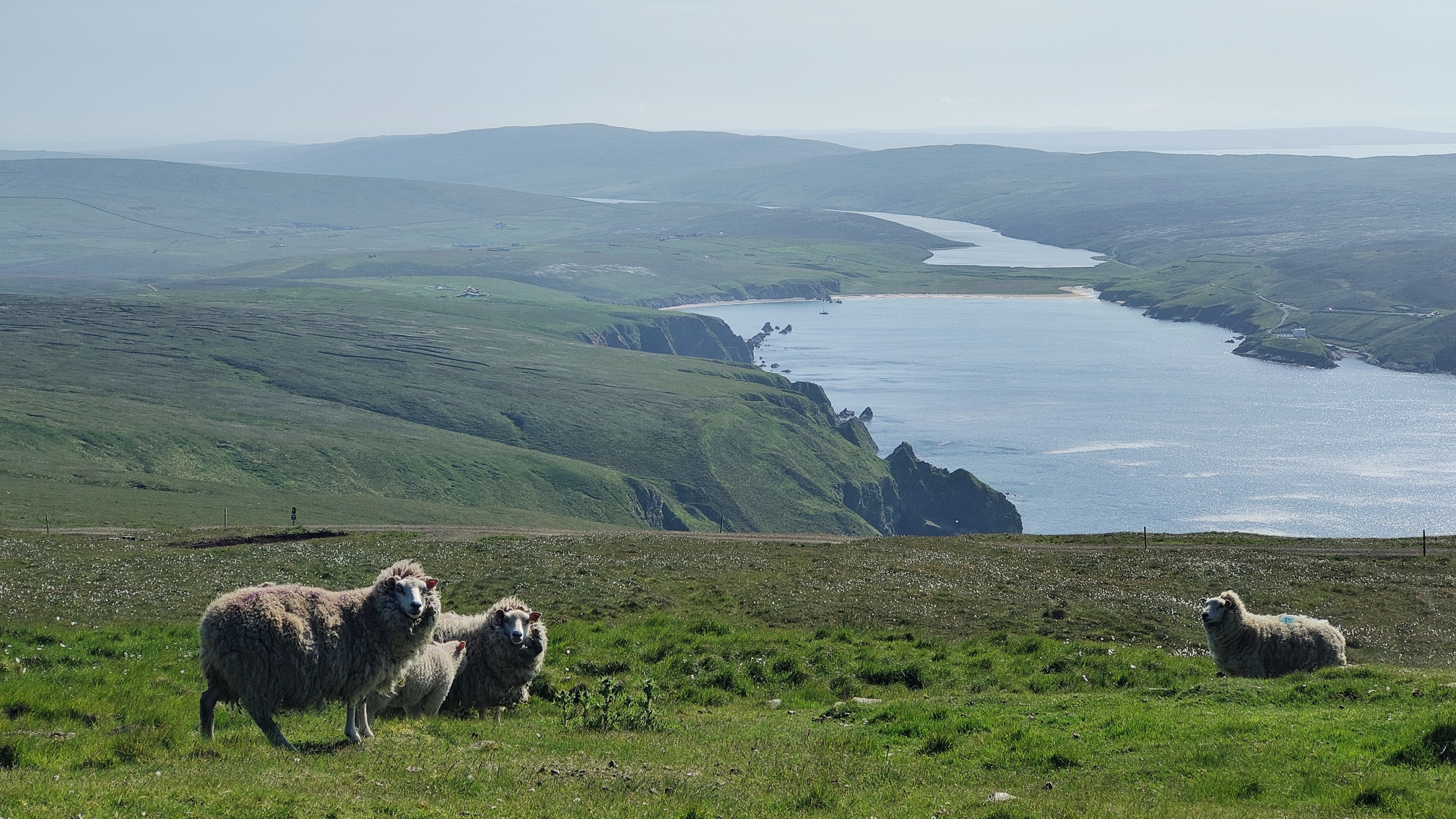 Exploring castles, Vikings, heritage and nature in Unst | Shetland.org